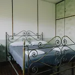 Oasi